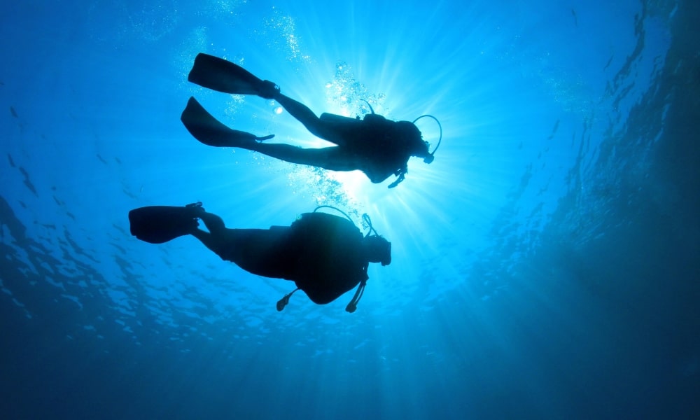 Paradise Cove Fiji Diving