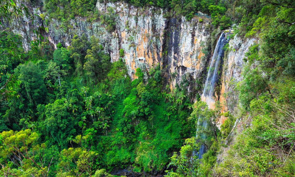 Waterfall in the Gold Coast Hinterland