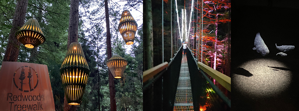 Redwood Forest Treewalk Nightlights 